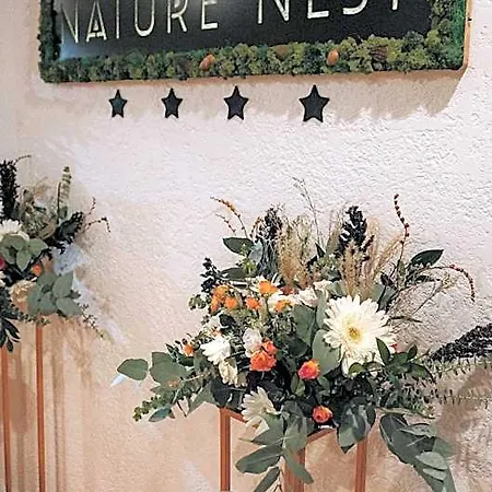 Nature Nest Bran - Adults Only Брашов